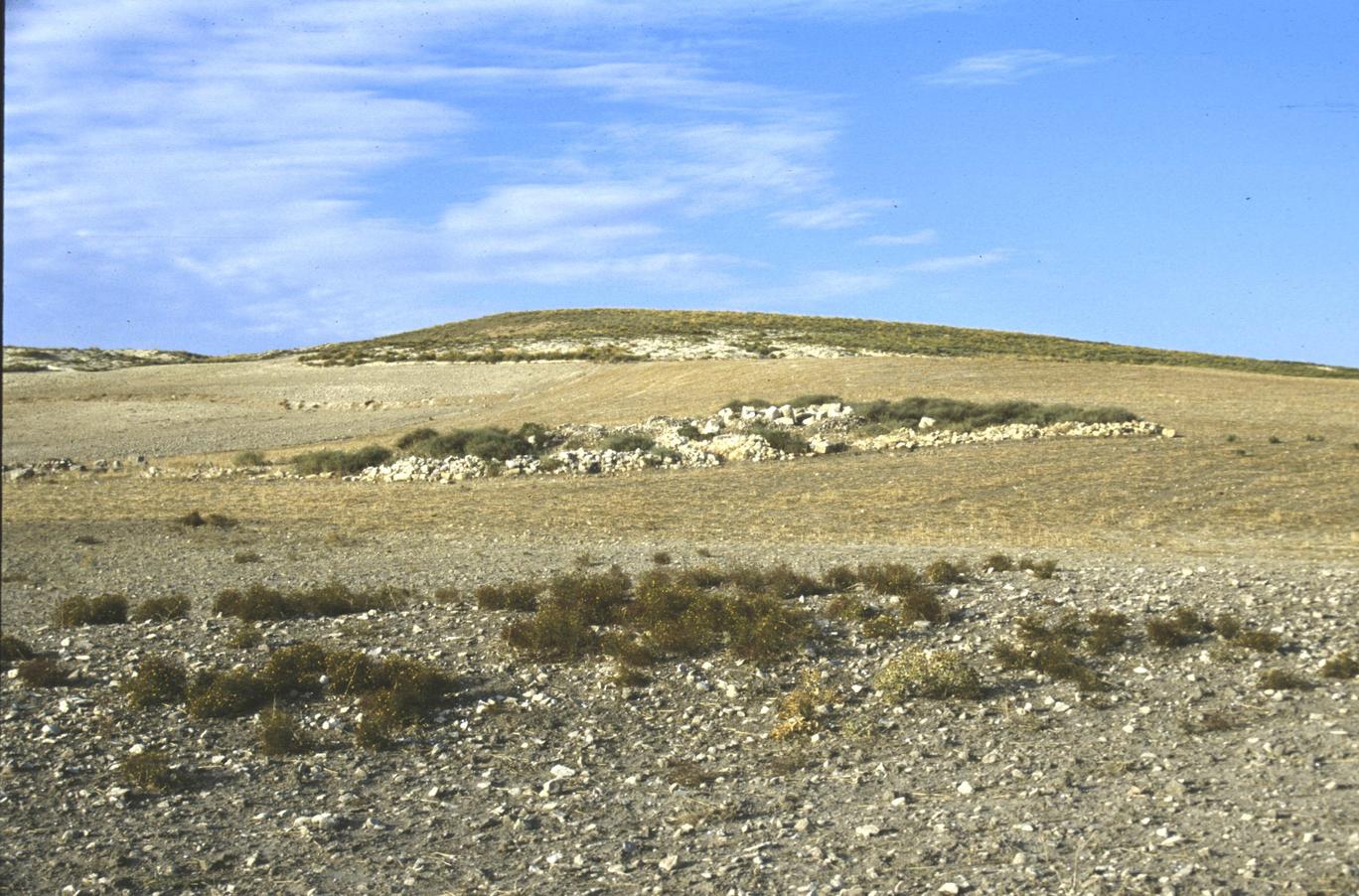 A site: DU539
